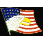 USA FLAG UNITED STATES FLAG W EAGLE HEAD PIN